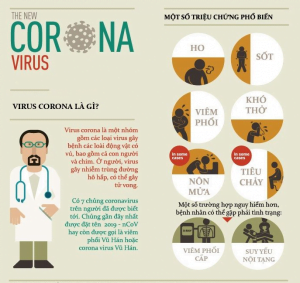 Các dấu hiệu nhận biết Coronavirus