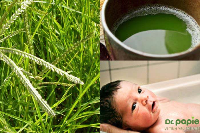 Tắm cho trẻ bị chàm sữa bằng nước cỏ mần trầu