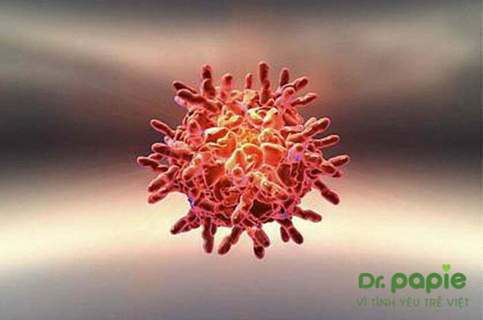 Rhinovirus - nguyên nhân sốt siêu vi ở trẻ em