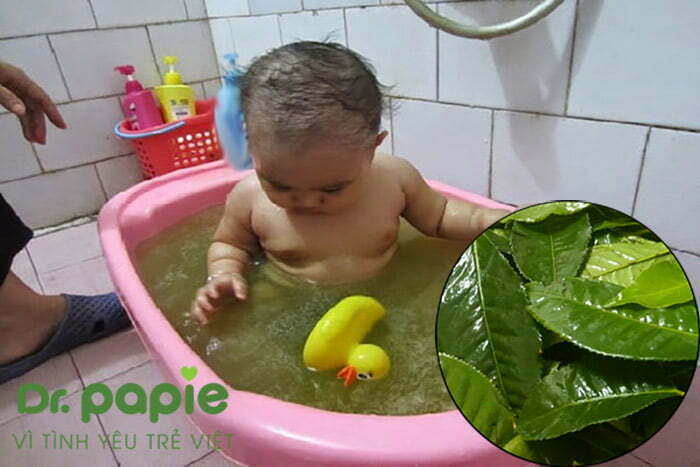 Tắm cho trẻ bằng lá trà xanh
