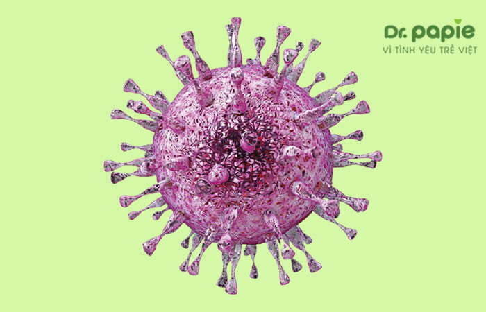 virus gây sốt ở trẻ sốt mọc răng