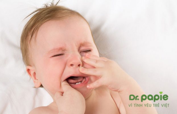 sốt mọc răng uống gì