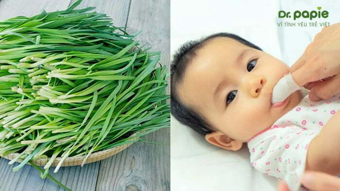 5+ cách trị trắng lưỡi ở trẻ sơ sinh an toàn, hiệu quả tại nhà Lá hẹ trị tưa lưỡi