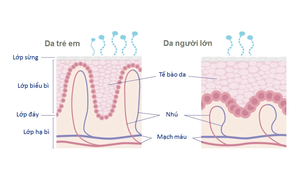 5 sự thật về làn da trẻ sơ sinh và trẻ nhỏ 5 su that ve lan da tre so sinh va tre nho
