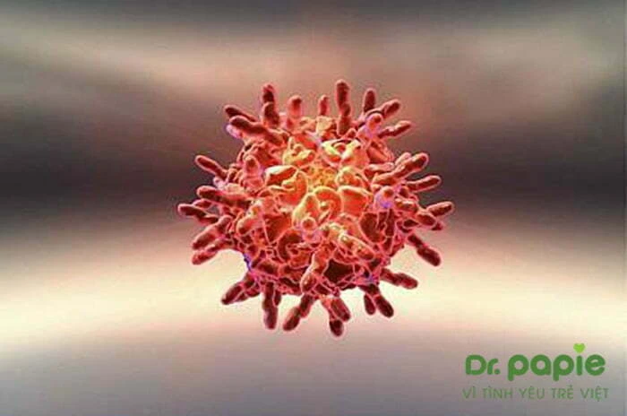 6 nguyên nhân sốt siêu vi ở trẻ em và 3 cách phòng đơn giản Rhinovirus - nguyên nhân sốt siêu vi ở trẻ em