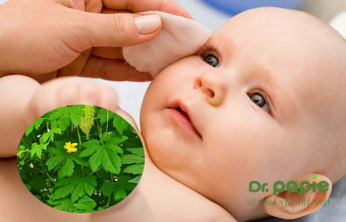 9+ cách trị viêm da cơ địa cho bé dứt điểm chỉ sau 10 ngày Tắm nước khổ qua cho trẻ bị viêm da cơ địa