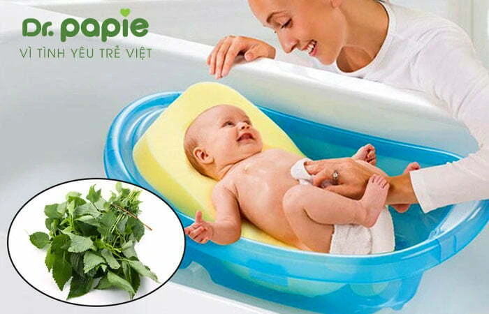 Bé sốt phát ban có nên tắm không? Câu trả lời từ chuyên gia Tắm cho trẻ sốt phát ban bằng lá kinh giới