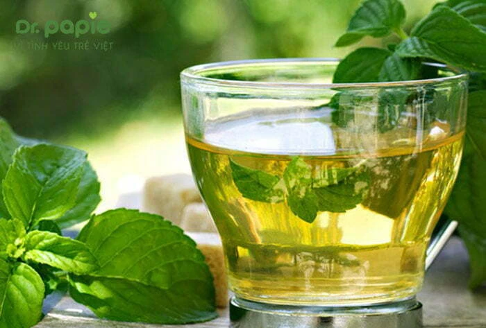 Cách điều trị sốt siêu vi ở trẻ em ngay tại nhà theo từng tình trạng bệnh cách hạ sốt siêu vi ở trẻ em bằng nước bạc hà