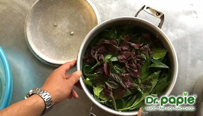 nồi nước tắm bà ngoại chuẩn bị hàng ngày cho Xoài