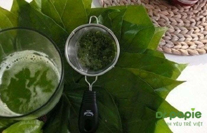 nước cốt lá trầu không dùng chữa chàm sữa cho bé