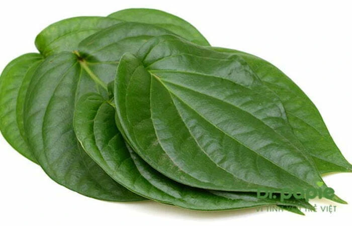 lá trầu không