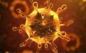 Coronavirus, "NHỮNG CON SỐ BIẾT NÓI" số liệu cập nhật mới nhất coronavirus nhung con so biet noi so lieu cap nhat moi nhat