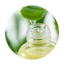 Nước tắm gội Dr.Papie (LP Ads) ct2