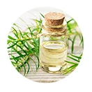 Nước tắm gội Dr.Papie (LP Ads) ct3