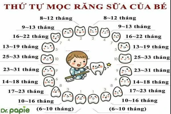 Dấu hiệu trẻ mọc răng và những lưu ý quan trọng bố mẹ cần nhớ dau hieu tre moc rang va nhung luu y quan trong bo me can nho