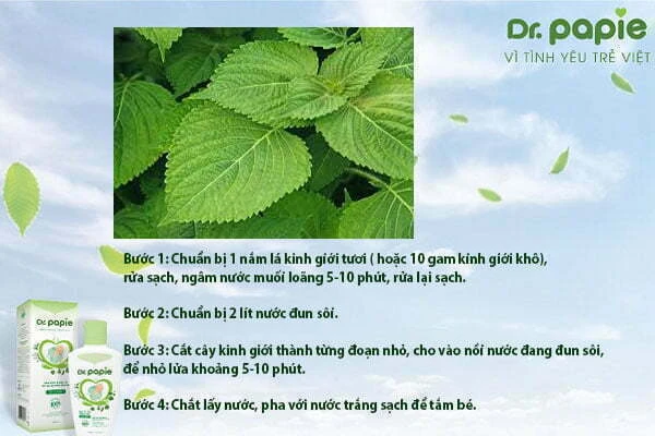 Điều trị viêm da cơ địa ở trẻ nhanh chóng, dứt điểm nhờ mẹo nhỏ này Sử dụng kinh giới trị viêm da cơ địa cho bé