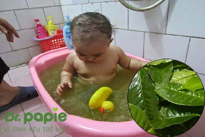Hăm tã bao lâu thì khỏi và cách chữa hăm tã nhanh nhất Trà shan tuyết chứa EGCG là chất chống oxy hóa, có tác dụng bảo vệ da, hỗ trợ điều trị hăm tã hiệu quả