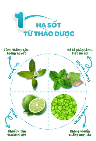 Khăn hạ sốt Dr.Papie (LP Ads) hasottuthaoduoc