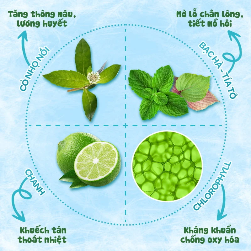 Thành phần khăn hạ sốt Dr.Papie Thành phần khăn hạ sốt Dr.Papie