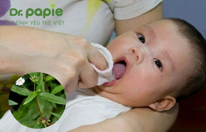 Hướng dẫn cách rơ lưỡi cho trẻ sơ sinh khoa học tại nhà từ chuyên gia y tế cách rơ lưỡi cho trẻ sơ sinh bằng cỏ mực
