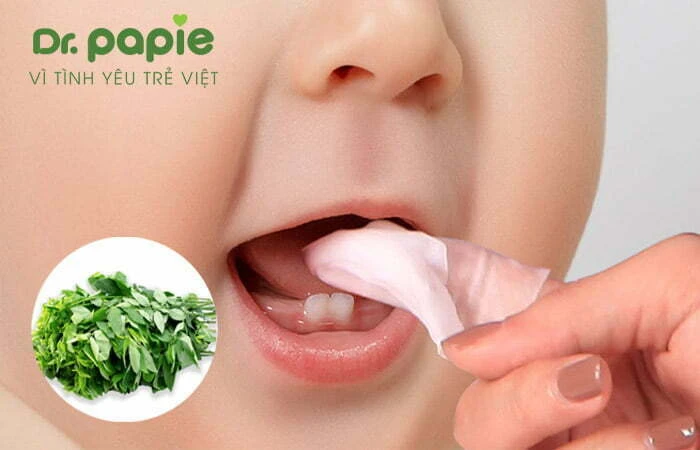 Hướng dẫn cách rơ lưỡi cho trẻ sơ sinh khoa học tại nhà từ chuyên gia y tế cách rơ lưỡi cho trẻ sơ sinh bằng rau ngót