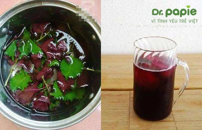 Hướng dẫn cách tắm lá tía tô trị rôm sảy cho trẻ sơ sinh hiệu quả Nước lá tái tô cho trẻ bị rôm sảy