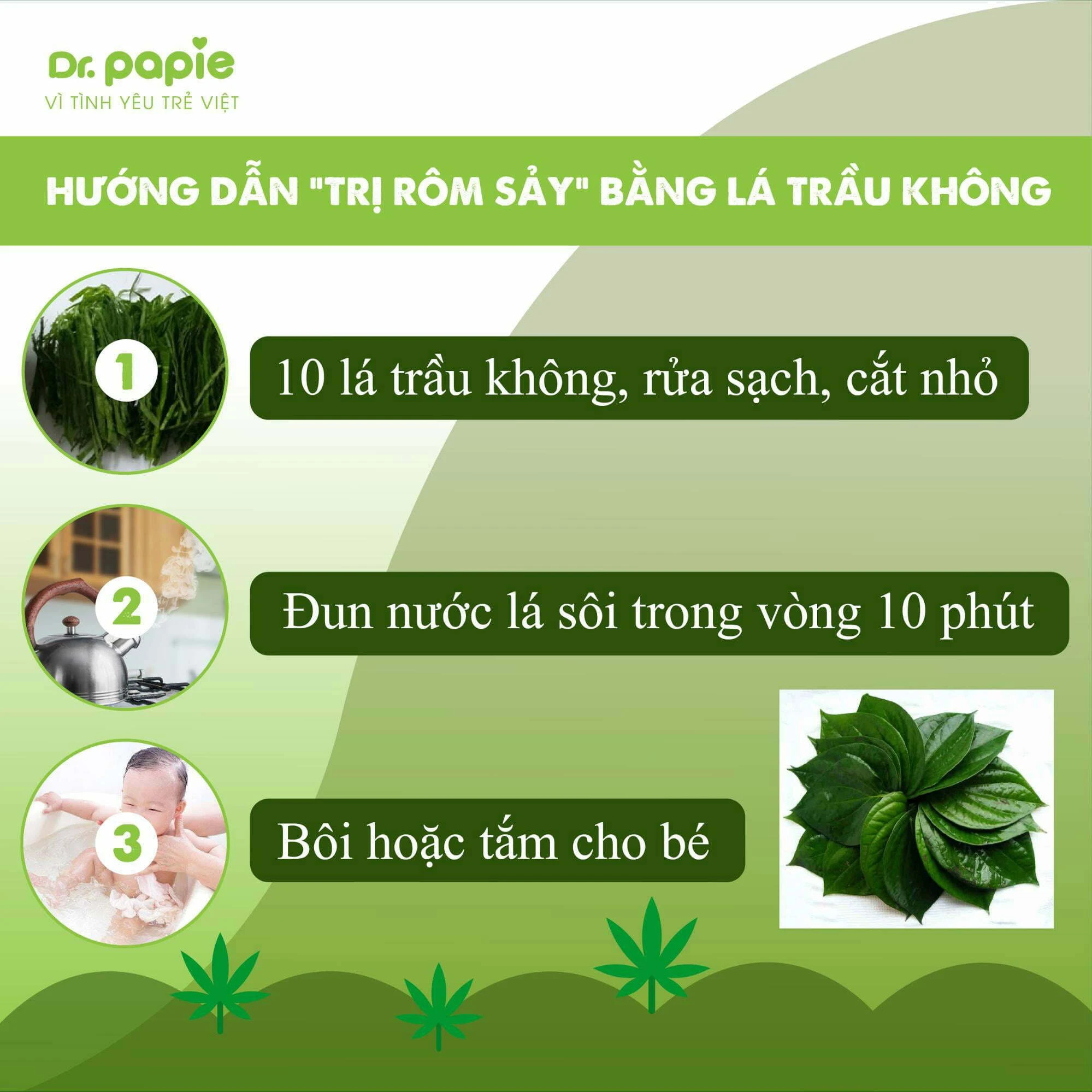 trị rôm sảy bằng lá trầu không
