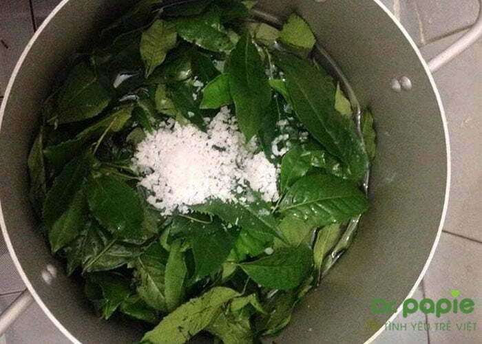 Hướng dẫn chi tiết cách trị hăm tã bằng trà xanh (chè xanh) tại nhà cho bé Để trị hăm tã bằng trà xanh hiệu quả, mẹ nên cho thêm 1 chút muối khi đun nước