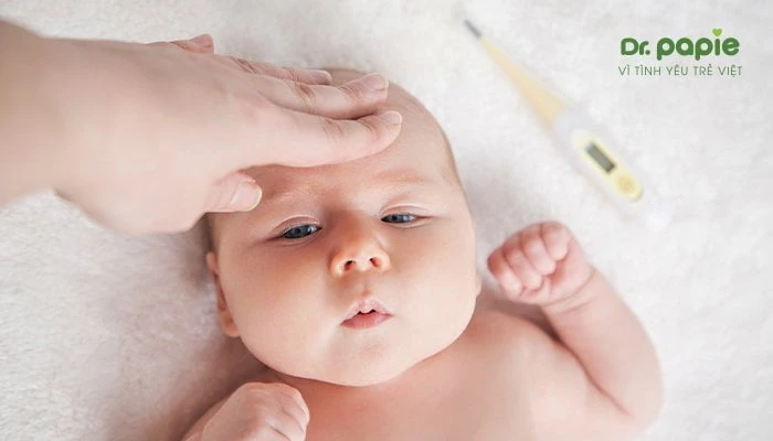 Hướng dẫn phân biệt sốt siêu vi và sốt xuất huyết huong dan phan biet sot sieu vi va sot xuat huyet