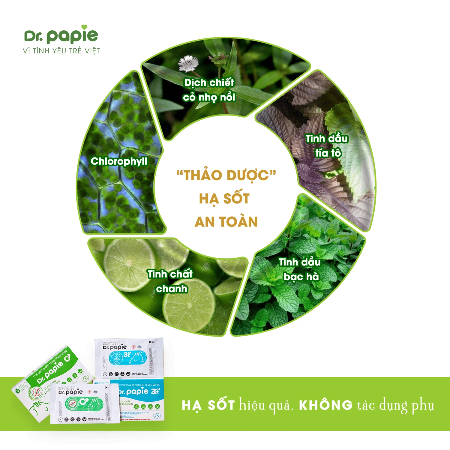 Mẹo hạ sốt sau tiêm phòng hiệu quả từ chuyên gia nhi khoa Thảo dược hạ sốt an toàn