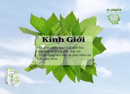 Nên chọn sữa tắm trị rôm sảy cho bé như thế nào hiệu quả nhất nen chon sua tam tri rom say cho be nhu the nao hieu qua nhat 2