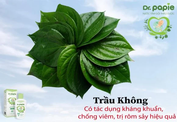Nên chọn sữa tắm trị rôm sảy cho bé như thế nào hiệu quả nhất nen chon sua tam tri rom say cho be nhu the nao hieu qua nhat