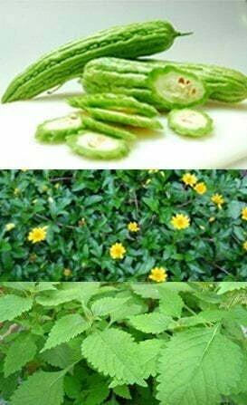 thành phần trong sữa tắm thảo dược dr papie