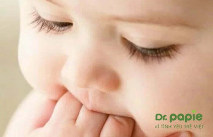Sốt mọc răng có ho không? Nguyên nhân và cách chăm sóc tại nhà Bé mọc răng hay cắn ngón tay