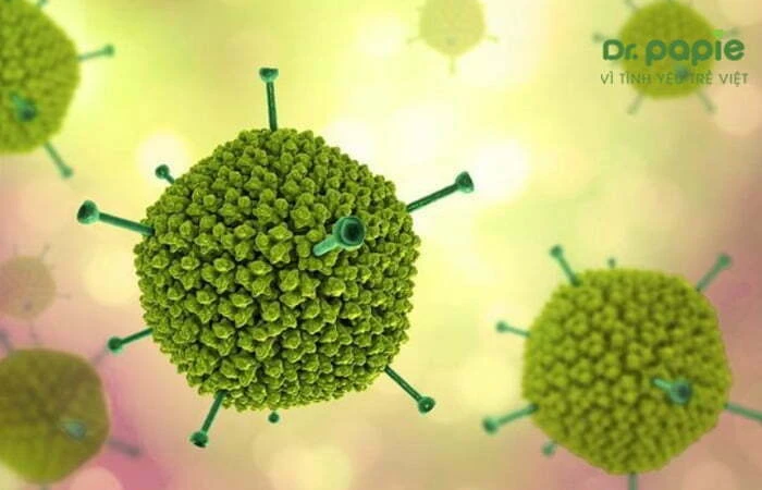 Sốt phát ban ở trẻ em bệnh học: Cơ chế bệnh sinh, chẩn đoán và cách điều trị Adenovirus