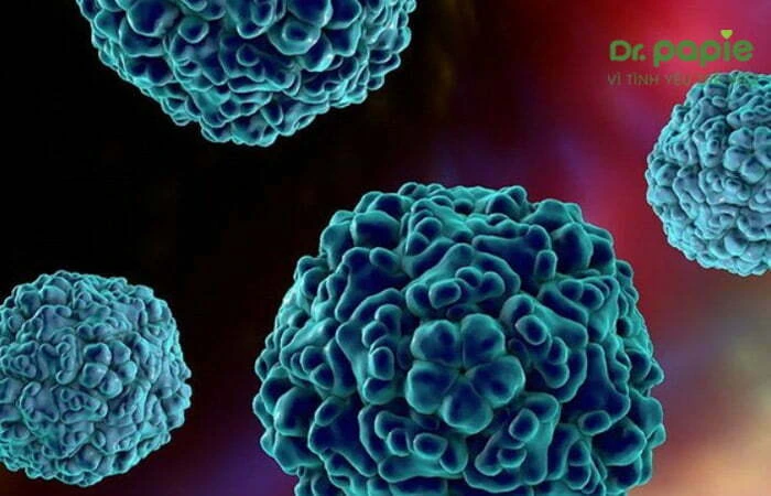 Sốt phát ban ở trẻ em bệnh học: Cơ chế bệnh sinh, chẩn đoán và cách điều trị Enterovirus