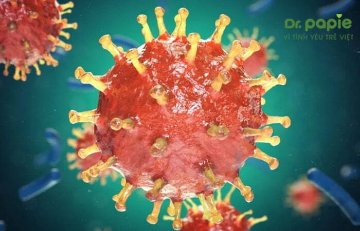 Sốt phát ban ở trẻ em bệnh học: Cơ chế bệnh sinh, chẩn đoán và cách điều trị Virus Rubella