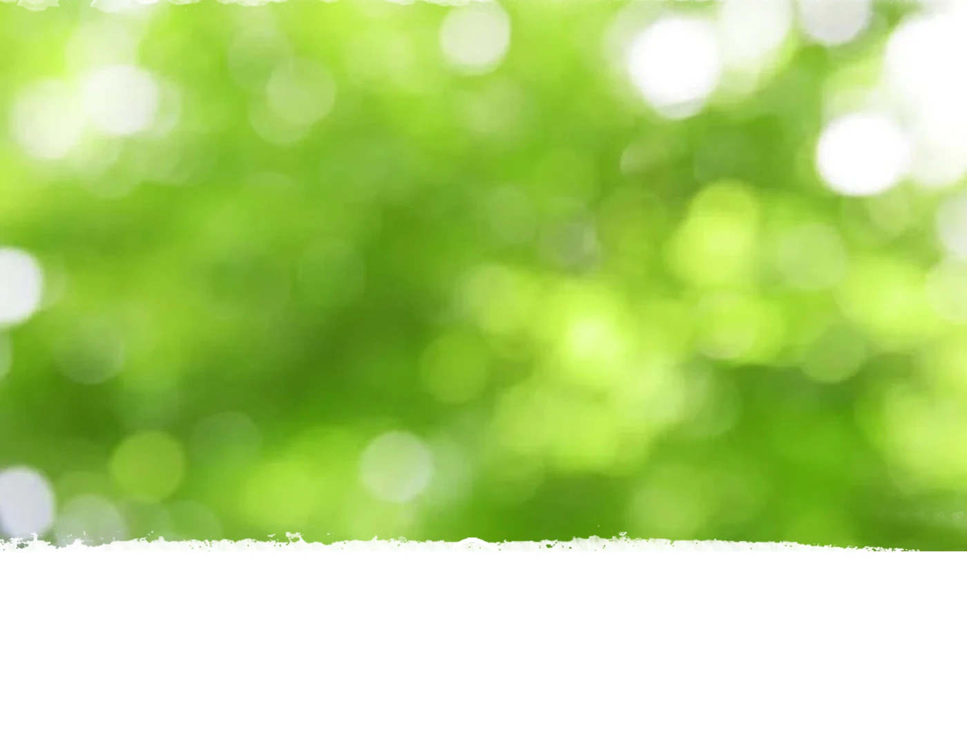 Nước tắm gội Dr.Papie (LP Ads) st7 bg