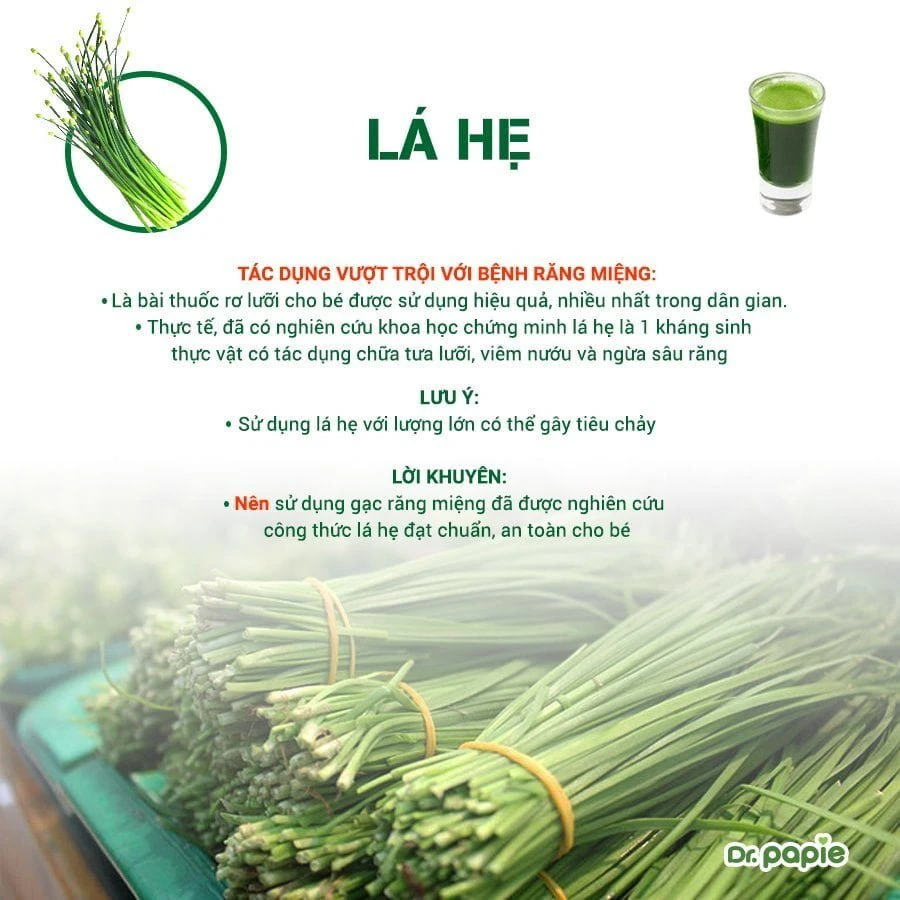 Thận trọng khi chọn thành phần gạc răng miệng cho bé Lá hẹ là bài thuốc tưa lưỡi được áp dụng hiệu quả nhất trong dân gian. Mẹ nên chọn gạc đã được nghiên cứu công thức lá hẹ đạt chuẩn
