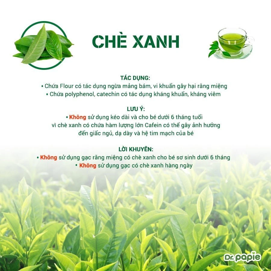 Thận trọng khi chọn thành phần gạc răng miệng cho bé Mẹ không nên sử dụng gạc có thành phần chè xanh cho bé dưới 6 tháng tuổi