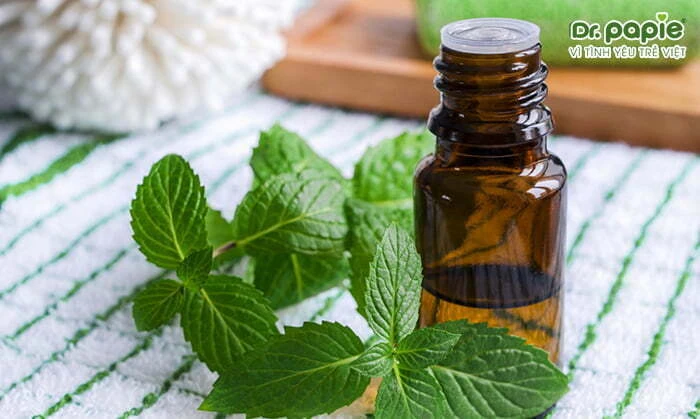 Thành phần miếng dán hạ sốt là gì? Tại sao giúp bé hạ sốt? Tinh dầu bạc hà có bên trong miếng dán hạ sốt