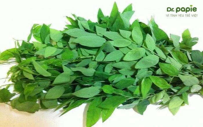 Rau ngót trị tưa lưỡi