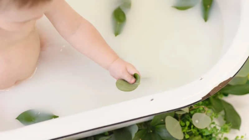 Trẻ bị rôm sảy tắm lá gì hết mẩn đỏ, ngứa ngáy Trẻ bị rôm sảy tắm lá gì hết mẩn đỏ, ngứa ngáy