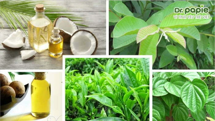 Trẻ sơ sinh bị hăm mông | Nguyên nhân và cách xử lý hiệu quả, an toàn Trị hăm mông bằng lá dân gian