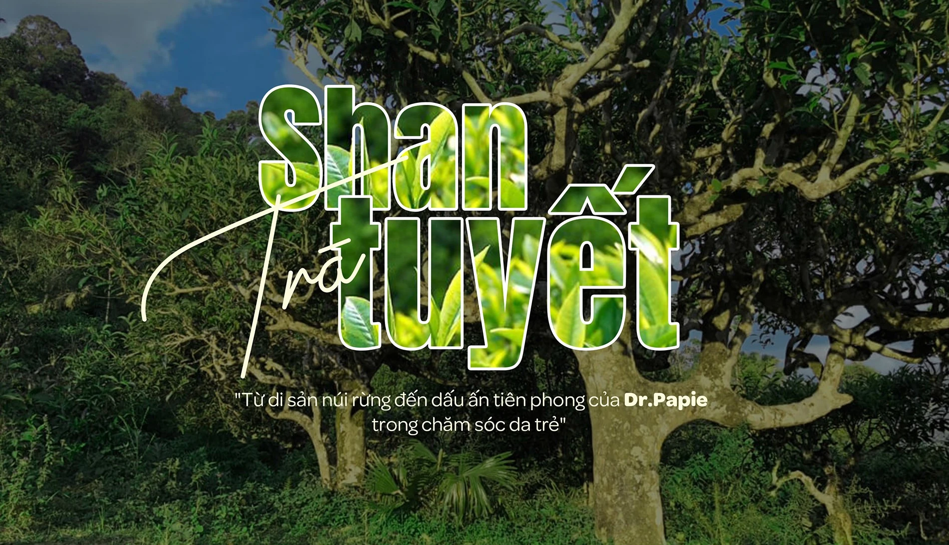 Tra Shan tuyet E magazine 1