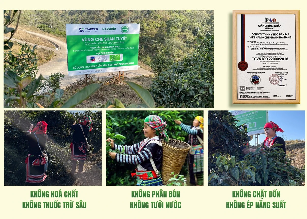 Tra Shan tuyet E magazine 10