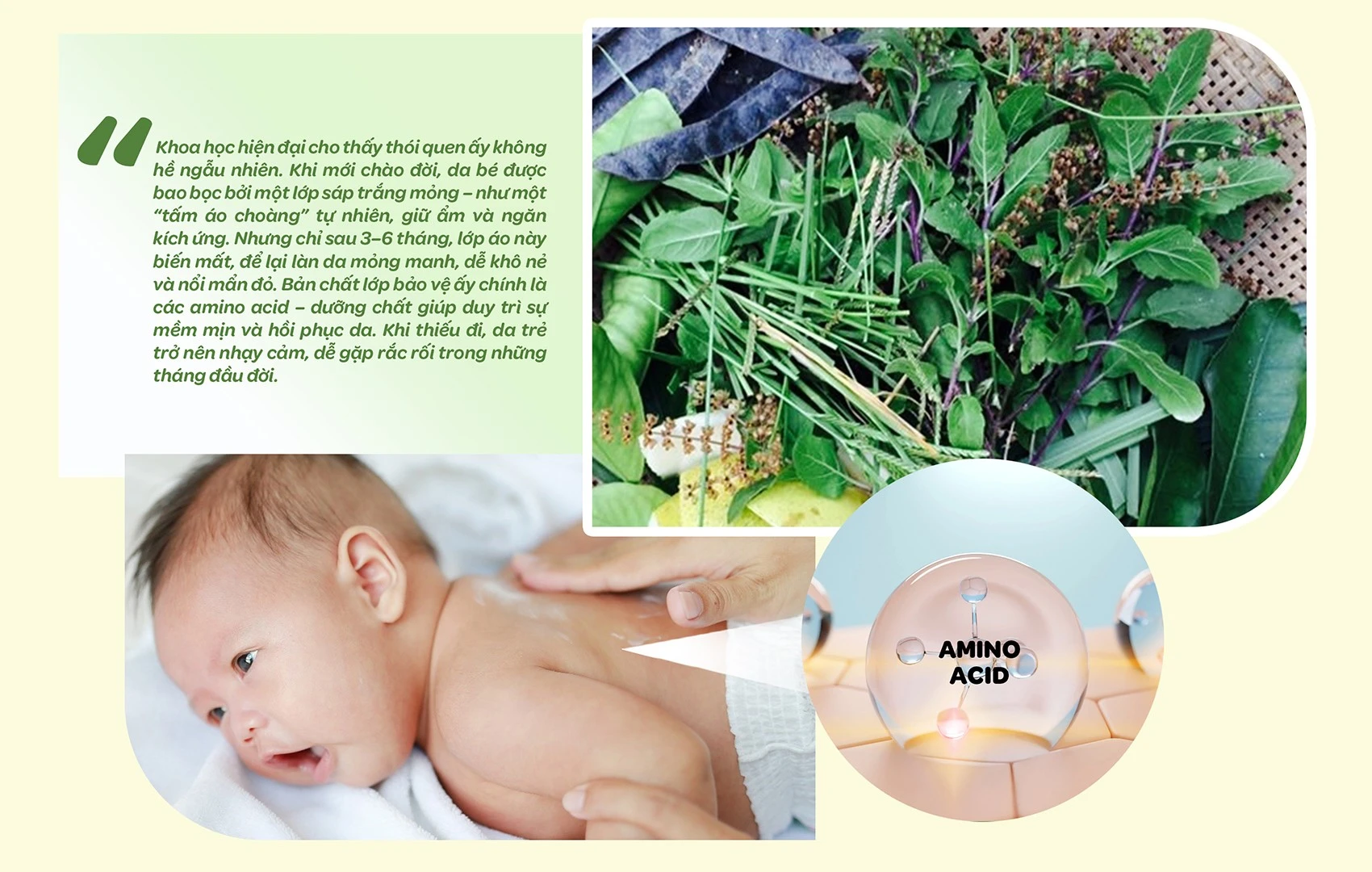 Tra Shan tuyet E magazine 4