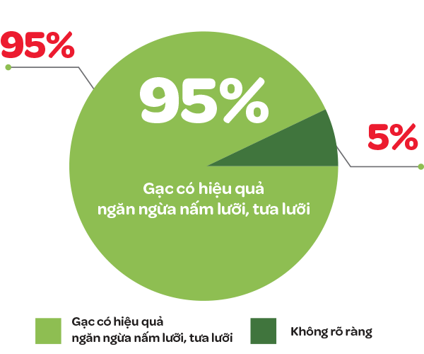 Rõ nguồn gốc - Mẹ an lòng bieu do 2