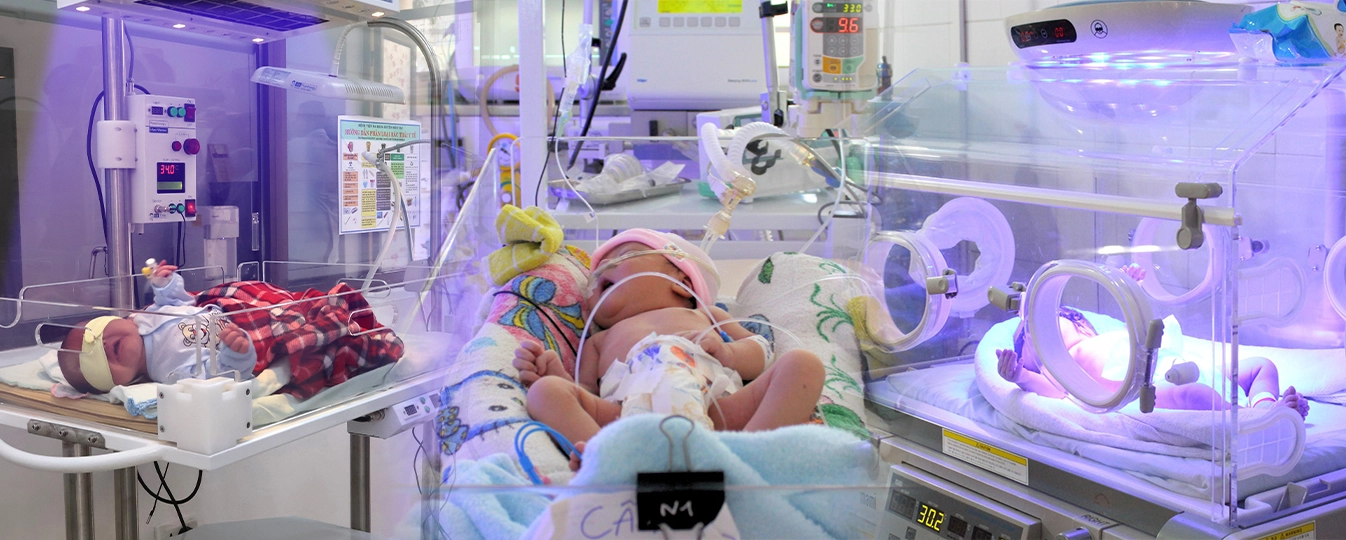 Hành trình ươm mầm - Vì tình yêu trẻ Việt csr img1