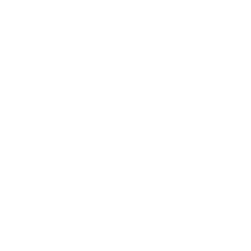icon iso